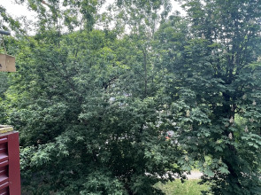 Апартаменты AmaFlat Grushevka