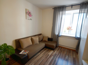 Апартаменты PiterHouse Apartments Turku 11