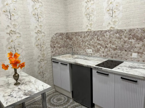 Апартаменты Белый Парус рядом с канатной дорогой