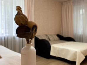 Апартаменты Квартира у ДС Торпедо на Чкалова