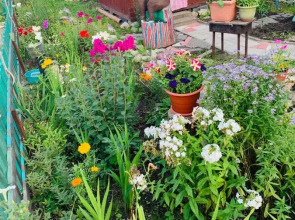 Гостевой дом Радуга