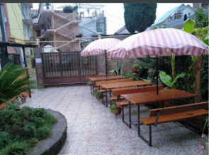 Гостевой дом Пальмира