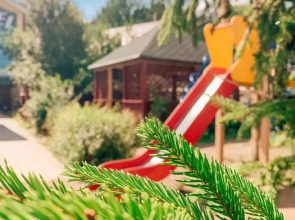 Отель Эдельвейс