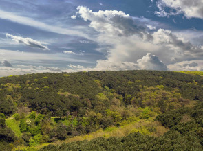 Апарт-отель Maslak Aparts