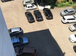 Апартаменты Светлана-Центр у моря с видом на сад магнолий