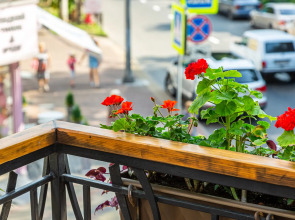 Апартаменты M1C Люкс