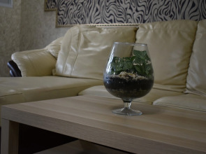 Отель Ареанда