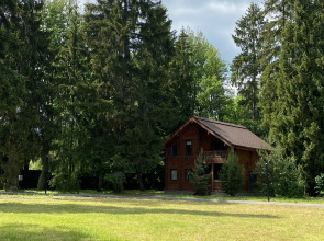 Отель Ruza Forest