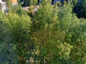 Квартира на Кукковке