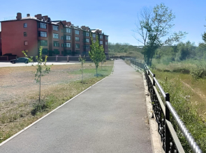 Квартира ЖК Абрикос