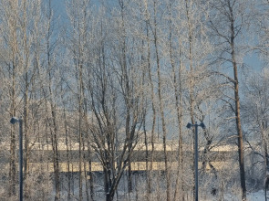 Апартаменты ЖК Барселона