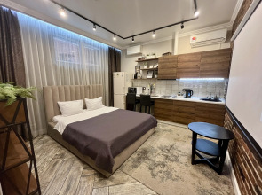 Апартаменты с проектором на Петрозаводской 85/75