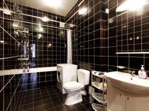 Апартаменты СТН Апартаменты с одной спальней на Канале Грибоедова