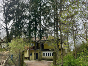 Апартаменты Лес и Шишки