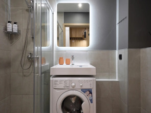 Квартира Заневский 815