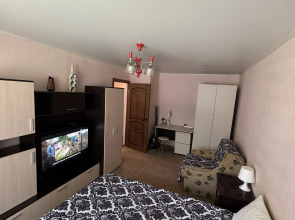 Квартира 1-комнатная на Нарвской 24