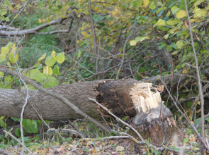 ЭКО Отель Настасьино Хуторок