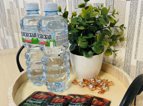 Апартаменты Квартира 1-Комнатная Белая