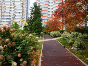 Апартаменты с Видом на Город