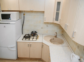 Апартаменты рядом с Кремлём и пл. Свободы Либхнехта 9