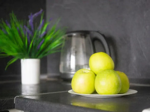 Апартаменты светлые на 16 этаже