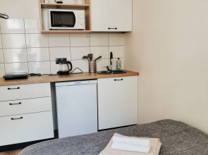 Апартаменты Студии Черника на Восьмиэтажке 1