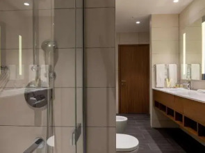 Отель Hilton Garden Inn Tbilisi Chavchavadze