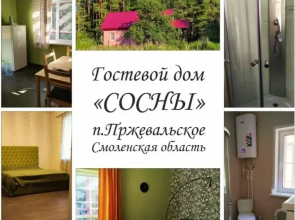 Sosny Private House