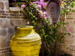 Отель WOO Town Suites