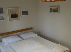 Гостевой Дом Золотой  Гусь