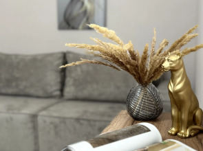 Квартира Уютная