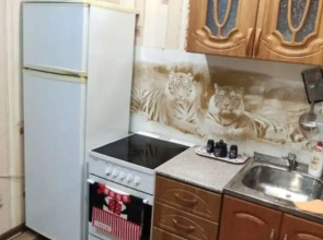 Odnokomnatnye V Tsentre Goroda Apartment
