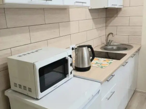 V Tsentre Izhevska 1 Flat