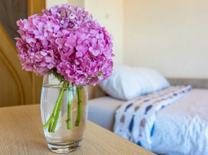 Апартаменты с Балконом и Видом на Море