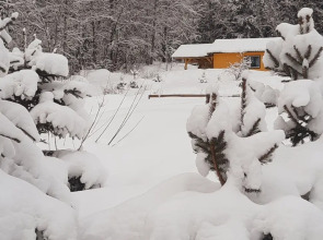 Гостевой дом с выходом в лес