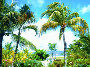 Village do Dendê Garden Guesthouse and Bungalows Hotel