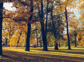 Мини-Отель Имение Алтунъ