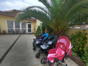 Гостевой дом Орандж хаус