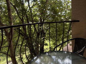 Жилое помещение Апартаменты Club 43