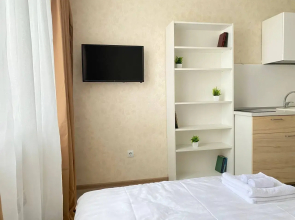 Апартаменты Batasheva Apart