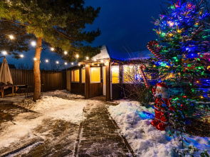 V Beleutovo S Basseynom I Saunoy Private house