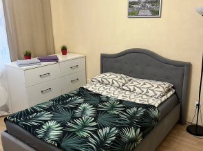 Uyutnaya V Kudrovo Flat