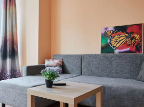 Квартира на Озерковой 51к2