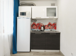 Апартаменты Студия на Кремлевской 25