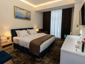 Отель Garnet Mir