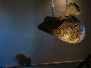 Гостевой Дом Конь в Пальто Музей и Постой