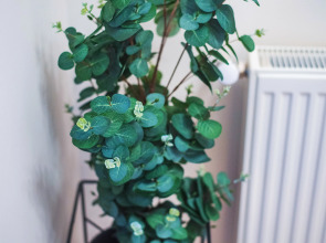 Апартаменты HB apartments University II