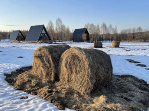 Гостевой дом Лаванда