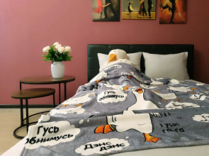 Квартира Двухкомнатная BaileVida rent на Гвардейском