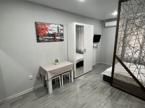 Студия 22 кв.м на Видова